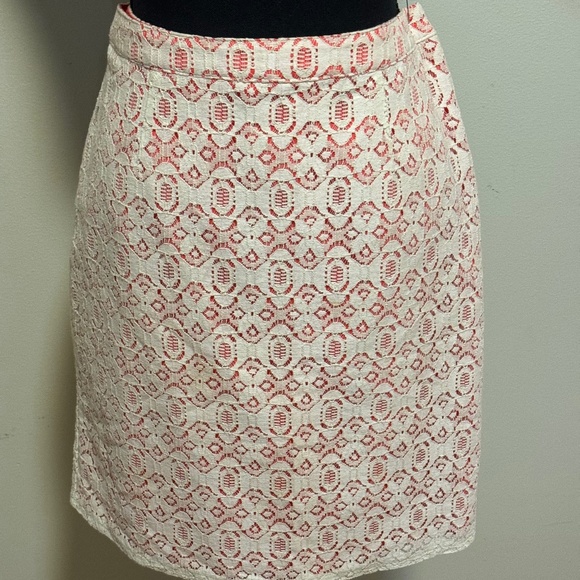 Embroidered Skirt - Picture 1 of 5